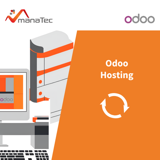 Odoo Hosting - Serverpaket Basic