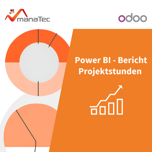 Power BI - Berichte zur Projektstundenverteilung & -entwicklung