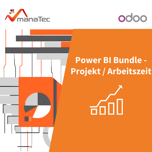 Power BI Bundle - Auswertungen über Arbeits- und Projektzeiten