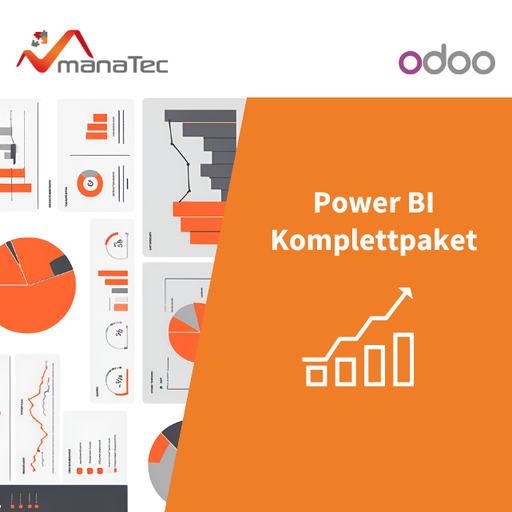 Power BI Komplettpaket - Projektcontrolling und Auswertung der Arbeitszeit